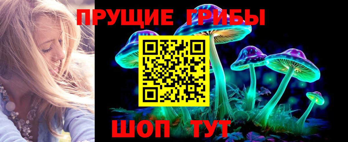 Галлюциногенные грибы мицелий Грозный